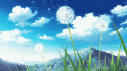 Anime Sky Dandelions Floating On Air