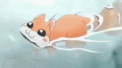Anime Squirrel Swimming