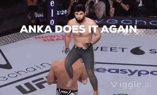 Anka Does It Again GIF