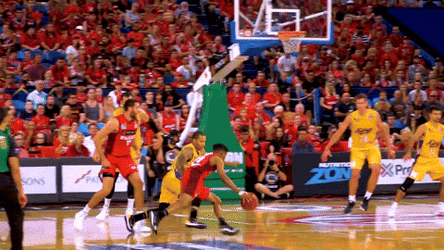 Ankle Breakers Perth Wildcats Bryce Cotton GIF