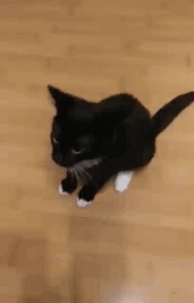 Anna From Frozen Saying Okay Bye GIF