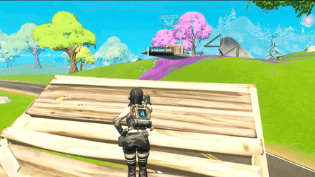 Annona Emote Fortnite GIF