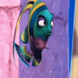 Annoyed Fish Staring Out GIF GIFDB com