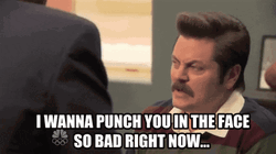 Annoyed Ron Swanson I Wanna Punch You GIF