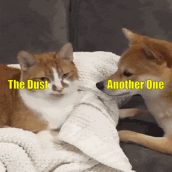 Anotha One Shiba Inu GIF