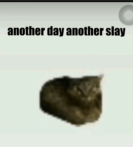 Another Day Another Slay Is Written On A White Background GIF