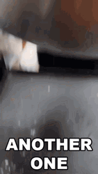 Another One Cooking Of Eggs GIF
