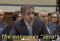 Answer Is Zero By Michael Cohen GIF