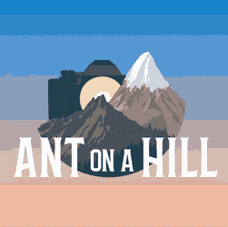 Ant On A Hill Mountains GIF
