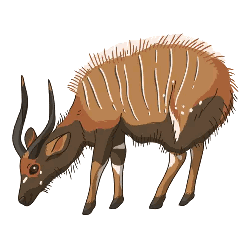 Antelope With Long Horns Sticker