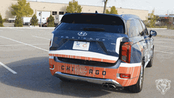 Anthony Adams In The Trunk Of A Car GIF