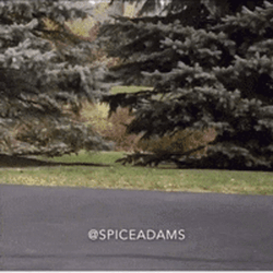 Anthony Adams Wearing Roller Skates GIF