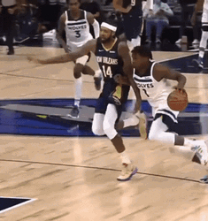 Anthony Edwards Steal Shot GIF
