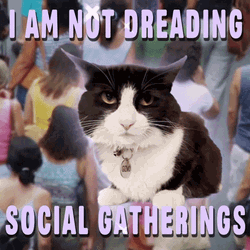 Anti Social Cat Gatherings Dreading