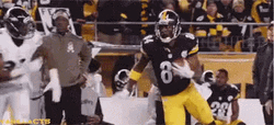 Antonio Brown Football Running Face Dunk GIF