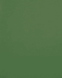 Antony Alves Santos Wearing Shades GIF