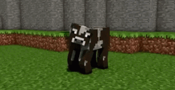 Anvil Fall On A Cow GIF