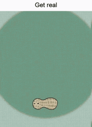 Anya Forger Peanut Transformation GIF