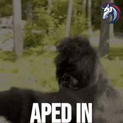Ape Monkey Dancing Meme GIF