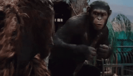 Apes Together Strong Planet Of The Apes GIF