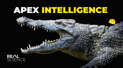 Apex Intelligence Poster Crocodile With Mouth Open GIF