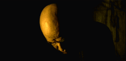 Apocalypse Now Scene Col. Walter E. Kurtz Has A Plan GIF