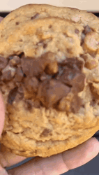 Appetizing Choco Insomnia Cookie GIF