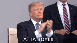 Applause Clap Donald Trump Meme GIF