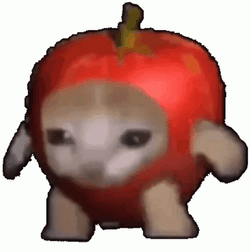 Apple Cat Spinning GIF