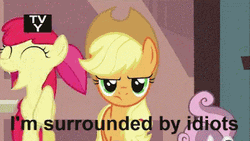 Apple Jack Im Surrounded By Idiots GIF
