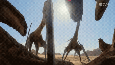 Apple TV+ Ad Group Of Animals In Desert GIF