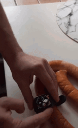 Apple Watch On Sausage GIF