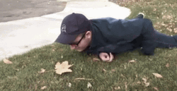 Appreciating Maple Leaf On The Ground GIF