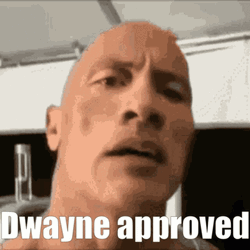 Approved By Dwayne Johnson GIF