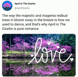 April Fools In The Ozarks GIF
