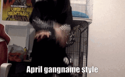 April Gangname Style GIF