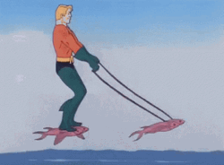 Aquaman Animated Movie Flying Fish GIF