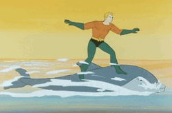 Aquaman Riding A Dolphin GIF