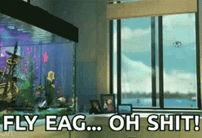Aquarium Saying Fly Eag Oh Shit GIF