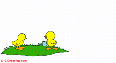 Arbor Da Spanish Water Spot Birds Hospital Flowers GIF