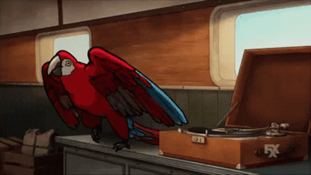 Archer With Red Parrot GIF