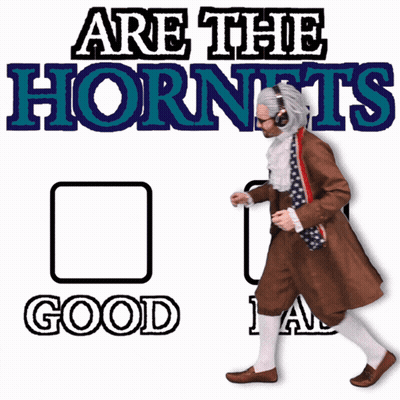 Are The Hornets Go Bad Poster GIF