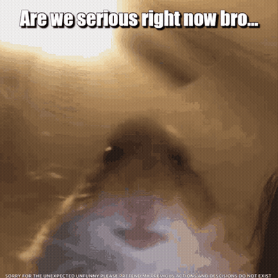 Are We Serious Right Now Bro GIF