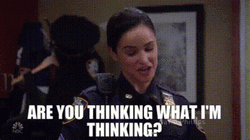 Are We The Baddies Brooklyn 99 GIF