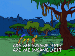 Are We There Yet Or We Insane Yet GIF