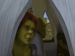 Are We There Yet Shrek And Fiona GIF
