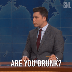 Are You Drunk Reporter Meme GIF