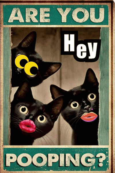 Are You Hey Pooping Poster With Three Black Cats GIF