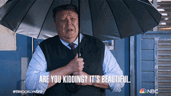 Are You Kidding It's Beautiful GIF