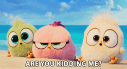 Are You Kidding Me Angry Birds Characters GIF